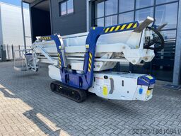 Falcon Spider FS 330 Z