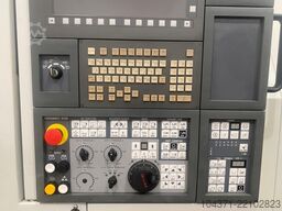 CMZ TX66 Y2