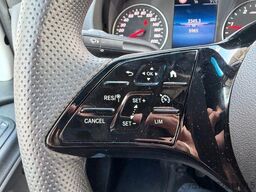 Mercedes-Benz Sprinter 317 CDI 9G 3665 AHK3,5to Schwingsitz
