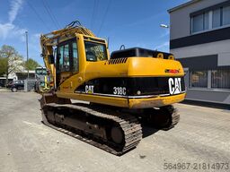 Caterpillar
