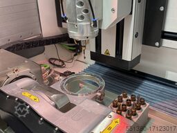 Schütz Tizian Cut 5 Dental