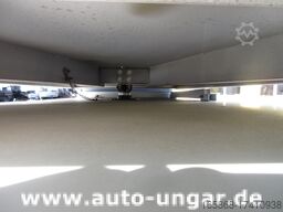 Esagono Energia Geco Golia Elektro Transporter Divaco