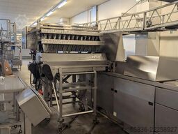 Newtec H3013MD Lineair weighing line