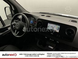 MERCEDES-BENZ Sprinter 317 Aut.*ThermoKing V500-MAX -20°C* Tie