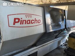 Pinacho Taurus 260