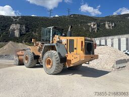 Case 921 C/2