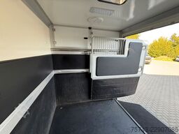 RENAULT Master STX 3 Sitzer  Haras / Hengste