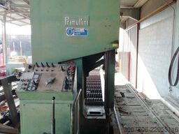 PRIMULTINI SE-CEA-IEA 1100 DESTRA