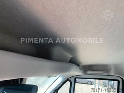 IVECO Daily 50C18A8 TK AUT TRENNWAND CARRIER LBW LED