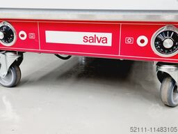 Salva AR 22
