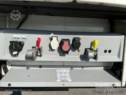 Schmitz Cargobull Tiefkühler Fleischhang