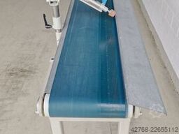 WEINIG LTB 250-3500