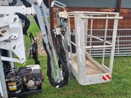 oil & Steel Octopussy 14.12