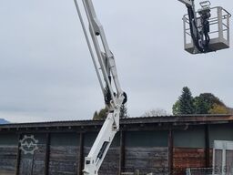 oil & Steel Octopussy 14.12