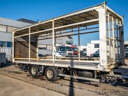 SAMRO CAGES CANARDS+HAYON