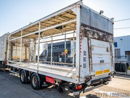 SAMRO CAGES CANARDS+HAYON