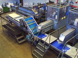 Onion processing line-full peeling line