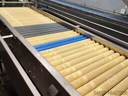 Onion processing line-full peeling line 