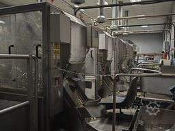 Onion processing line-full peeling line 