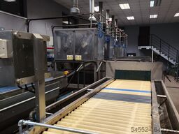 Onion processing line-full peeling line 