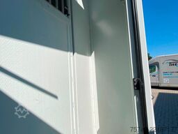 RENAULT Theault Proteo   5 Sitzer  Haras / Hengste