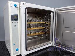 Thermo Fisher Scientific UT 6200 F Umluft-Trockenschrank