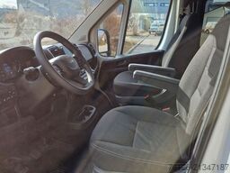 FIAT Fiat Ducato 9 Sitzer Systemboden Rolli Stock