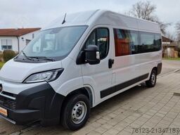 FIAT Fiat Ducato 9 Sitzer Systemboden Rolli Stock