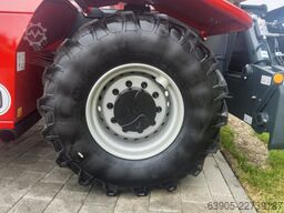 Magni RTH 6.31