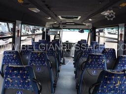 Iveco Thesi / Automatic gear box / Retarder / Lift
