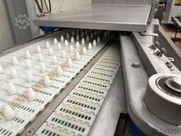 CHRISTIAENS was/snij sorteermachine asperges