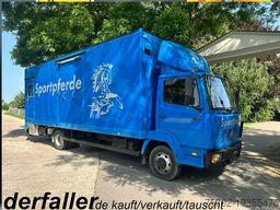 Mercedes-Benz 817 L 1-4 Pferde Oldtimer