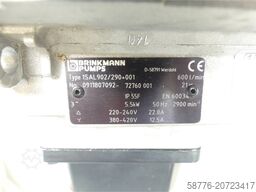 Brinkmann 1SAL902/290+001 Tauchpumpe SN:  001