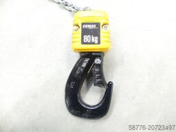 Demag DCS-Pro 1 80 1/1 H3 VS30-30 Kettenzug / Kran SN: 94828902