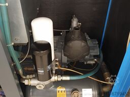 Worthington Creyssensac RLR 25 AM8 + DW21 + F900