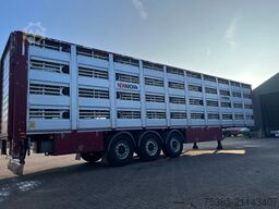 Berdex Newnion 4 stock livestock Type2 liftaxle 2