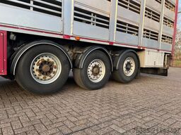 Berdex Newnion 4 stock livestock Type2 liftaxle 2