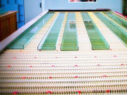 TCGT GTW Serie GW5025ZD