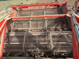 HOLARAS UM300F-UR285