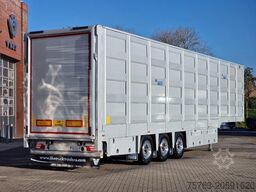 Overige Molas 5 deck Livestock trailer - Water & Ventil...