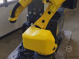 Fanuc M-10iA