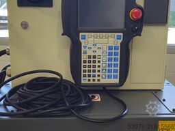Fanuc M-10iA