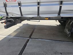 FLIEGL SDS 390