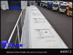 FELDBINDER Heitling, SDBH 54, 7 Kammern, Futter Feed Lenkachse, Alufelgen,