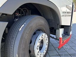 Volvo VOLVO 460 GLOBE DIESEL/LNG 4X2