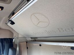 MERCEDES-BENZ ACTROS 2545 L / LBW / SEITENTÜRE