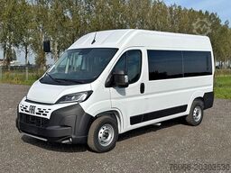 Fiat Ducato L2H2 Mini Bus (10 units)