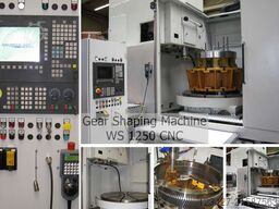 Lorenz LS Alternative WS 1250