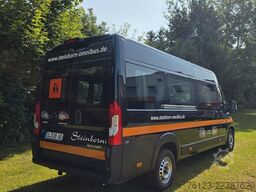 Opel Movano Mobility Airline Boden Rolli