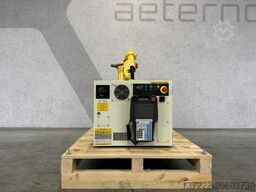 FANUC M-10iA/7L